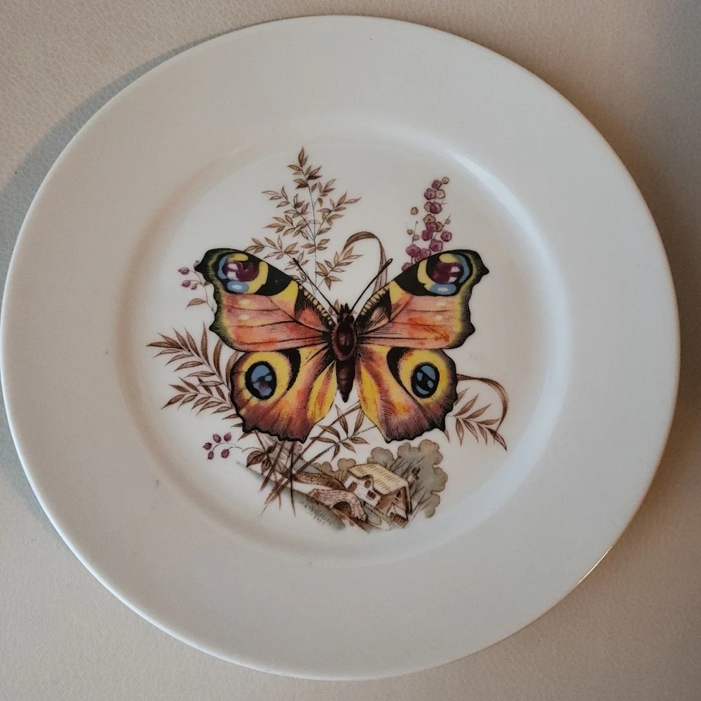 Kuba Bavaria Germany Butterfly Plate Porcelain ~ Pretty! ~ EUC ~ Nature Cottage